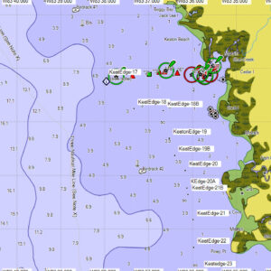 Scalloping In Florida - What You Need To Know Hunting Scallops